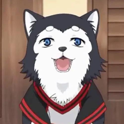 盘点动漫世界里那些可可爱爱的萌宠，有人想带一只回家吗？