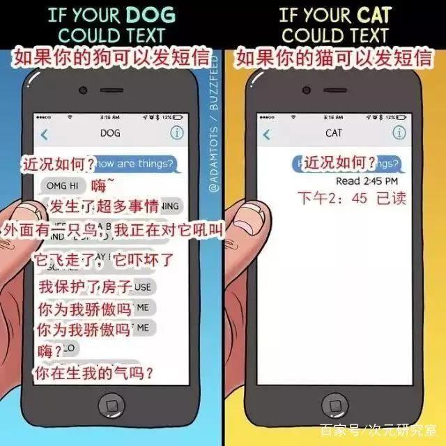 谈谈我与狗狗的365天｜萌狗动画推荐