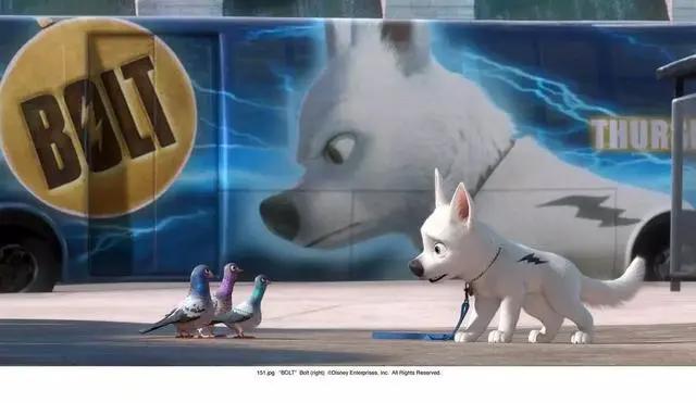 谈谈我与狗狗的365天｜萌狗动画推荐