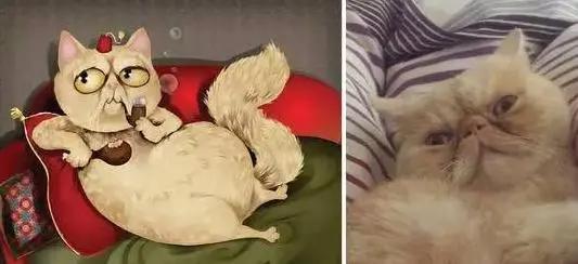 如果将宠物改成动画人物，而它成宅男吉祥物，萌翻网友！