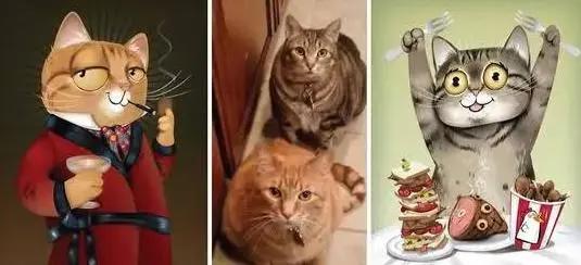 如果将宠物改成动画人物，而它成宅男吉祥物，萌翻网友！