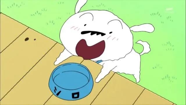 动漫当中那些超想牵来自己养的宠物，定春猫咪老师上榜