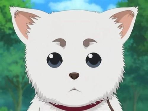 动漫当中那些超想牵来自己养的宠物，定春猫咪老师上榜