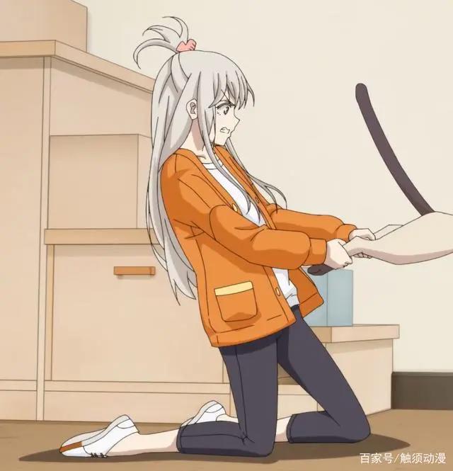 暗恋她，她却爱猫，那就变成一只猫吧，日风国漫《猫先动手》定档