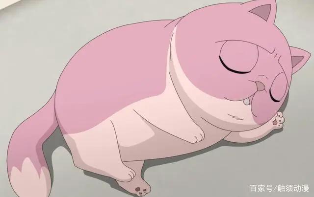 暗恋她，她却爱猫，那就变成一只猫吧，日风国漫《猫先动手》定档