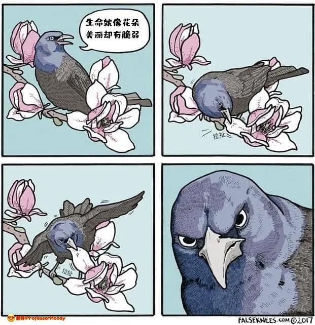 “码头薯条”漫画作者作品，“扎心”四格漫画，暗藏无厘头和哲理