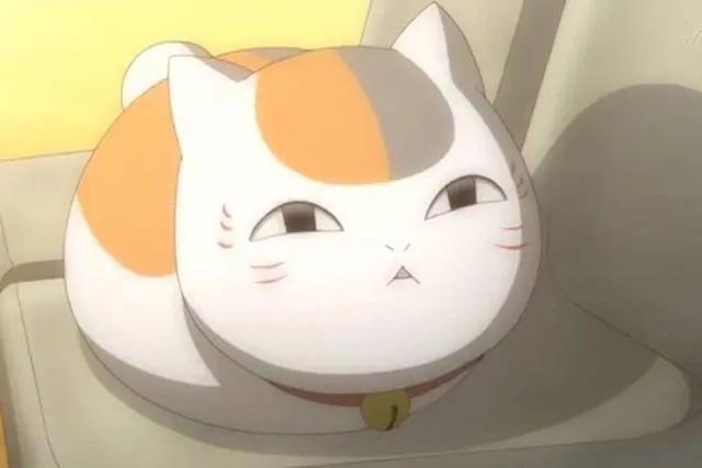 你最想在动漫中领养哪一只猫？最后一位的真实形态是个萌妹子