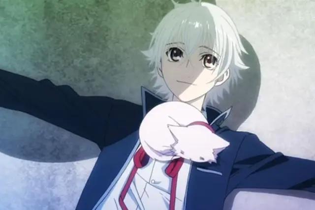 你最想在动漫中领养哪一只猫？最后一位的真实形态是个萌妹子