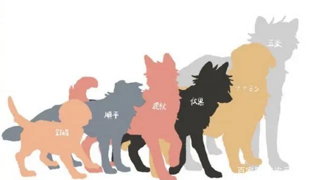 将咒术中的角色变成小动物，五条悟不愧是大长腿，一年级组萌出血