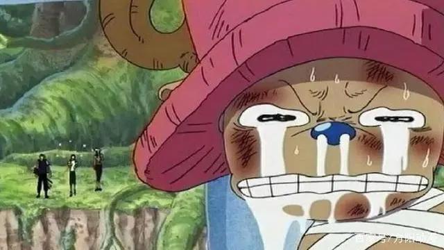 海贼王：假如乔巴谈恋爱了，驯鹿和加洛特会选谁？果然需求最重要