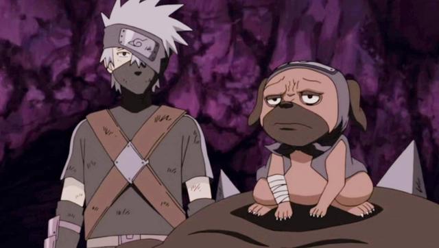 盘点儿时动漫中的狗狗品种，你还记得几个？