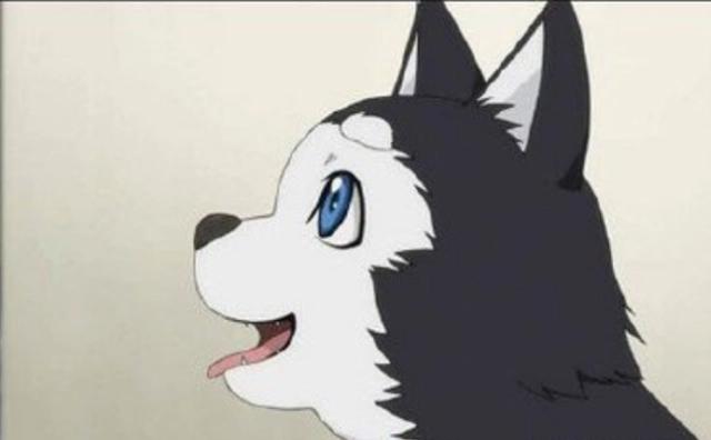 如果选一只动漫萌宠陪伴你，皮卡丘最受欢迎，你会选择哪一只呢？