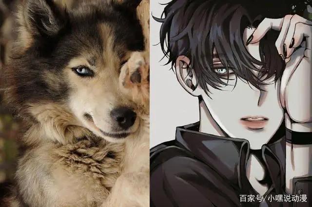 当动物被画师二次元化，可盐可甜可帅气，还是纸片人更让人心动