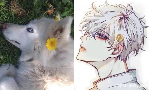 当动物被画师二次元化，可盐可甜可帅气，还是纸片人更让人心动