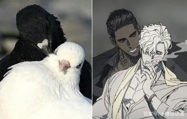 当动物被画师二次元化，可盐可甜可帅气，还是纸片人更让人心动