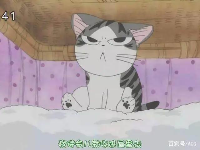 铲屎官看过来，6只动漫中的可爱猫咪盘点