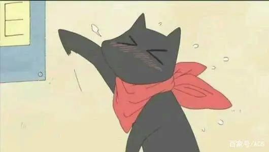 铲屎官看过来，6只动漫中的可爱猫咪盘点