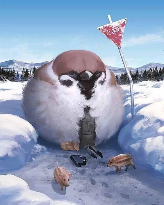 当你与动物互换时