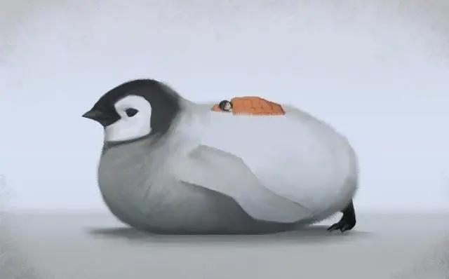 当你与动物互换时