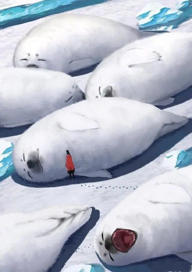 当你与动物互换时