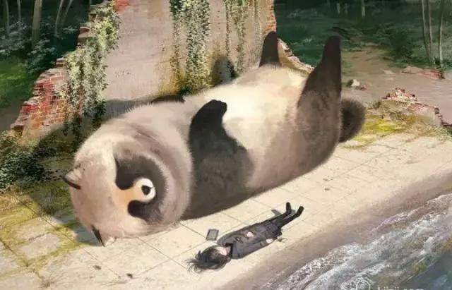 当你与动物互换时