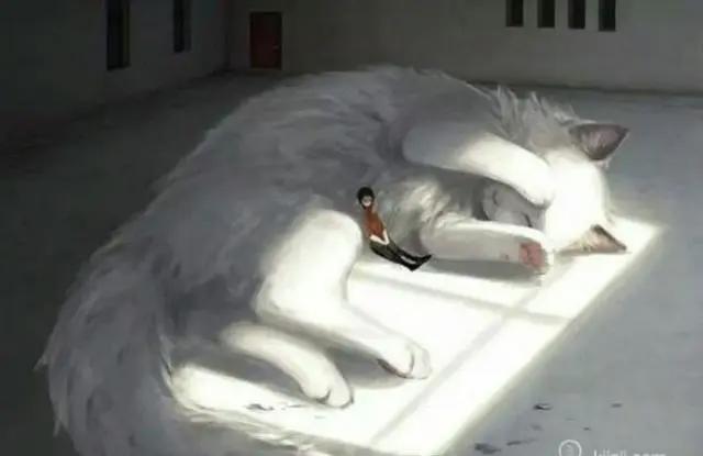 当你与动物互换时