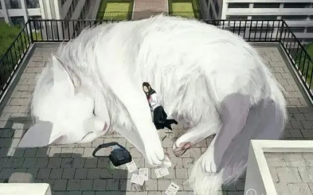 当你与动物互换时