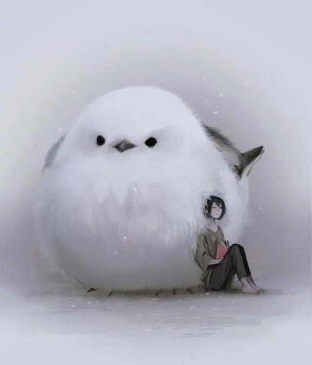 当你与动物互换时