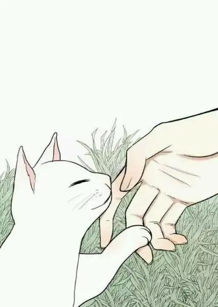 年度催泪漫画：动物的命，都是命，不要随意决定饲养动物