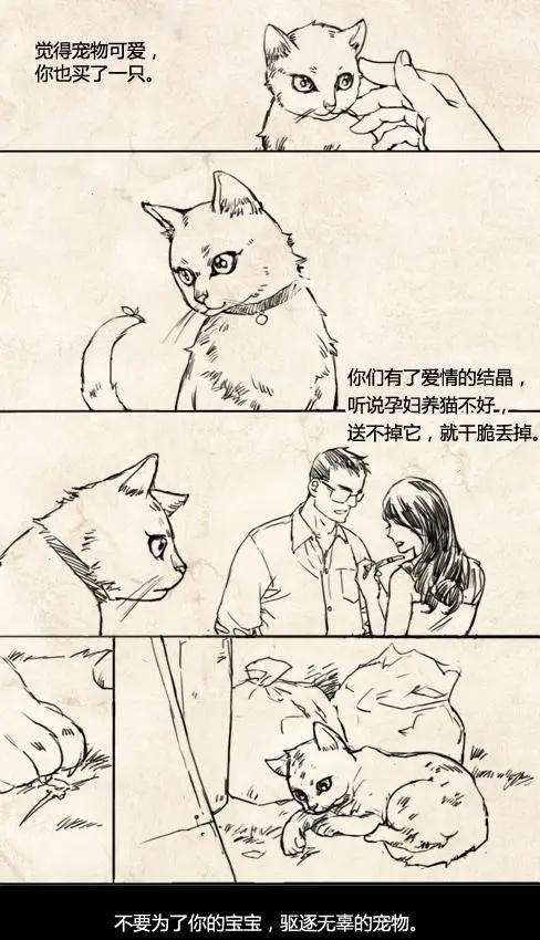 年度催泪漫画：动物的命，都是命，不要随意决定饲养动物