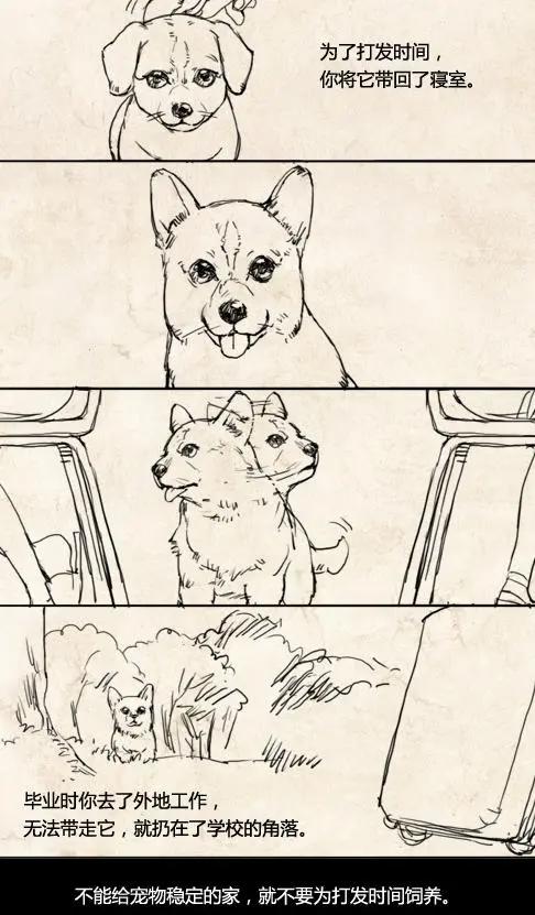 年度催泪漫画：动物的命，都是命，不要随意决定饲养动物