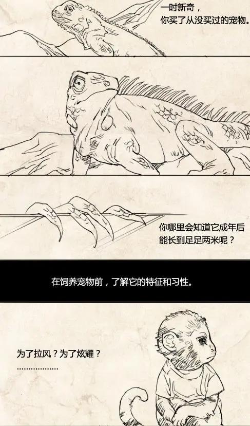 年度催泪漫画：动物的命，都是命，不要随意决定饲养动物