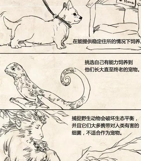 年度催泪漫画：动物的命，都是命，不要随意决定饲养动物