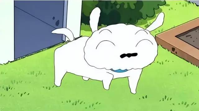 这十五只可爱到犯规的动漫萌宠，如果居家的时候有它们陪就好了