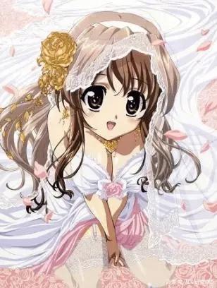 外表光鲜的美少女们，都有着绝对不能被人所知道的秘密！