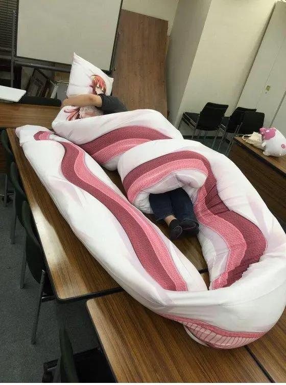 那些人类与异兽谈恋爱的动画，每一部都不同凡响！