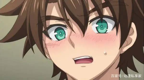 去创造奇迹吧！盘点动画的各色勇者