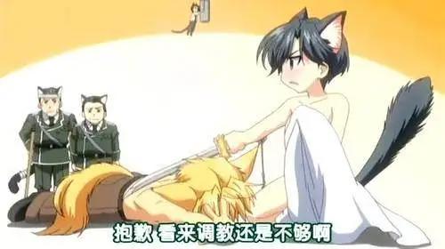 动漫推荐：非男性向，男性误入，入了就是新世界哦！