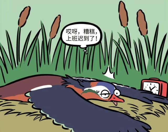 非人哉：月老的红线可以是黑色和紫色，也能是橘色，都是真感情