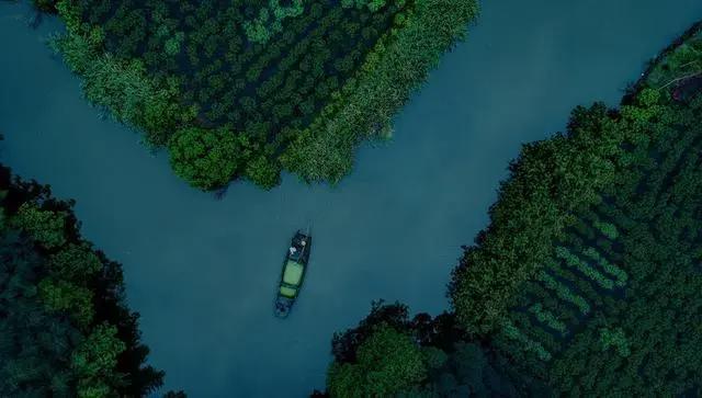 「读嘉人文」嘉兴蚕桑文化保护，他们在行动