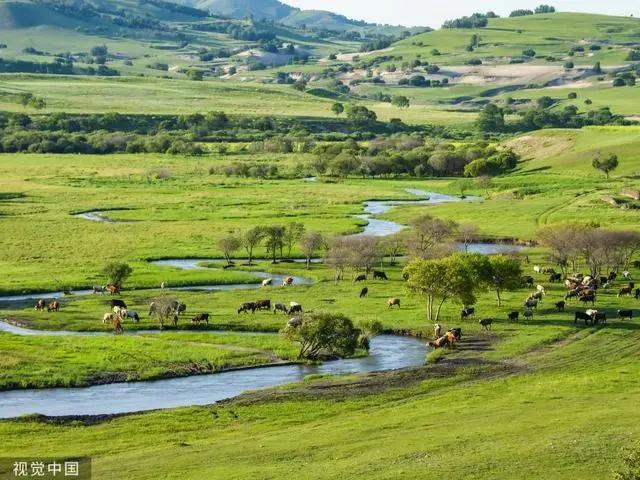 7类露营地，你去过几个？