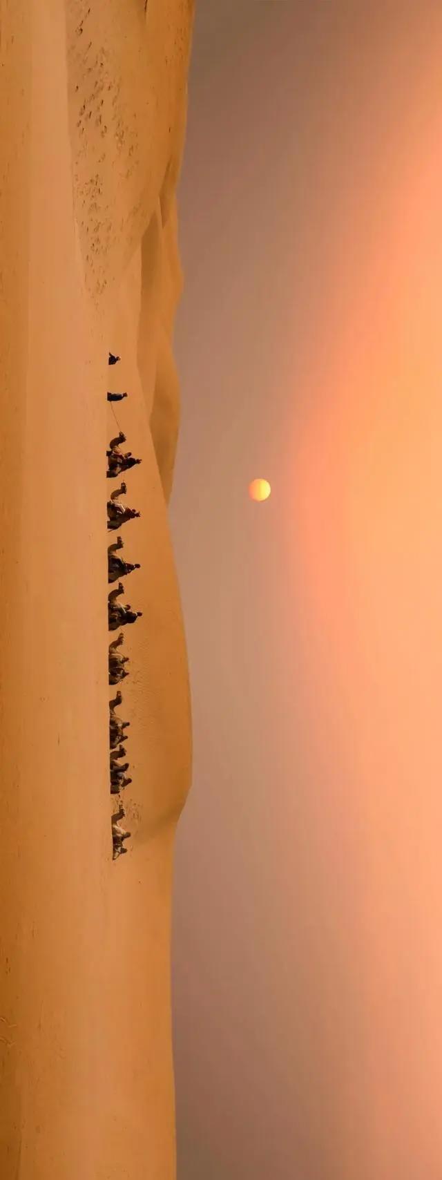 7类露营地，你去过几个？