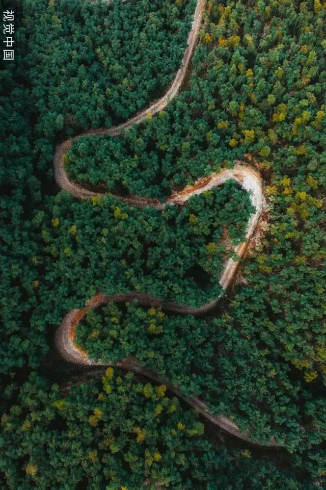 7类露营地，你去过几个？