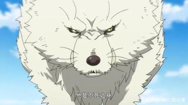 四月催泪新番，致不灭的你！