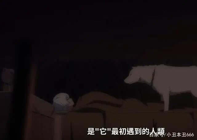 四月最强催泪番？《致不灭的你》第一集你破防了吗？