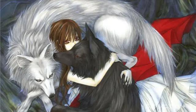 《吸血鬼骑士》当中诸多“骑士”，你最喜欢哪一个？我喜欢他