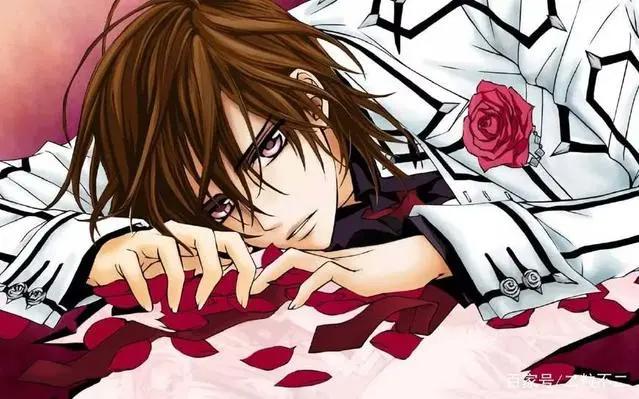 吸血鬼骑士：作为一部少女漫，它确实会让人少女心爆棚