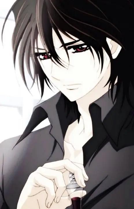 盘点动漫中“帅炸”的小哥哥，《吸血鬼骑士》就占两个名额！