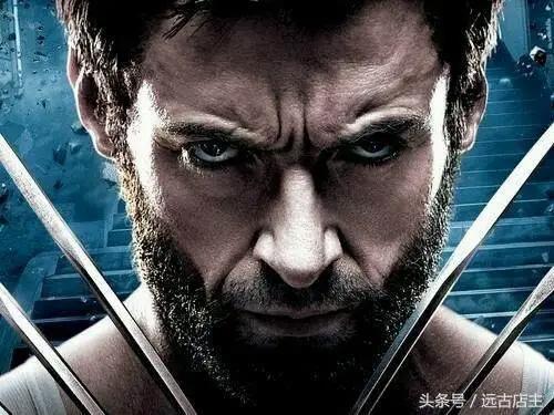 对《金刚狼》实力的综合分析