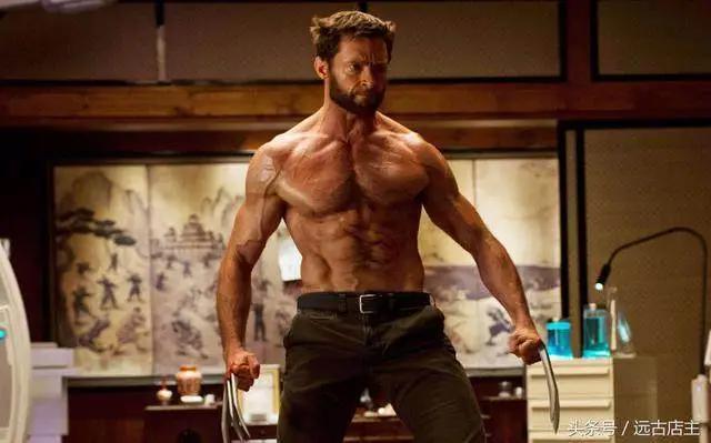 对《金刚狼》实力的综合分析